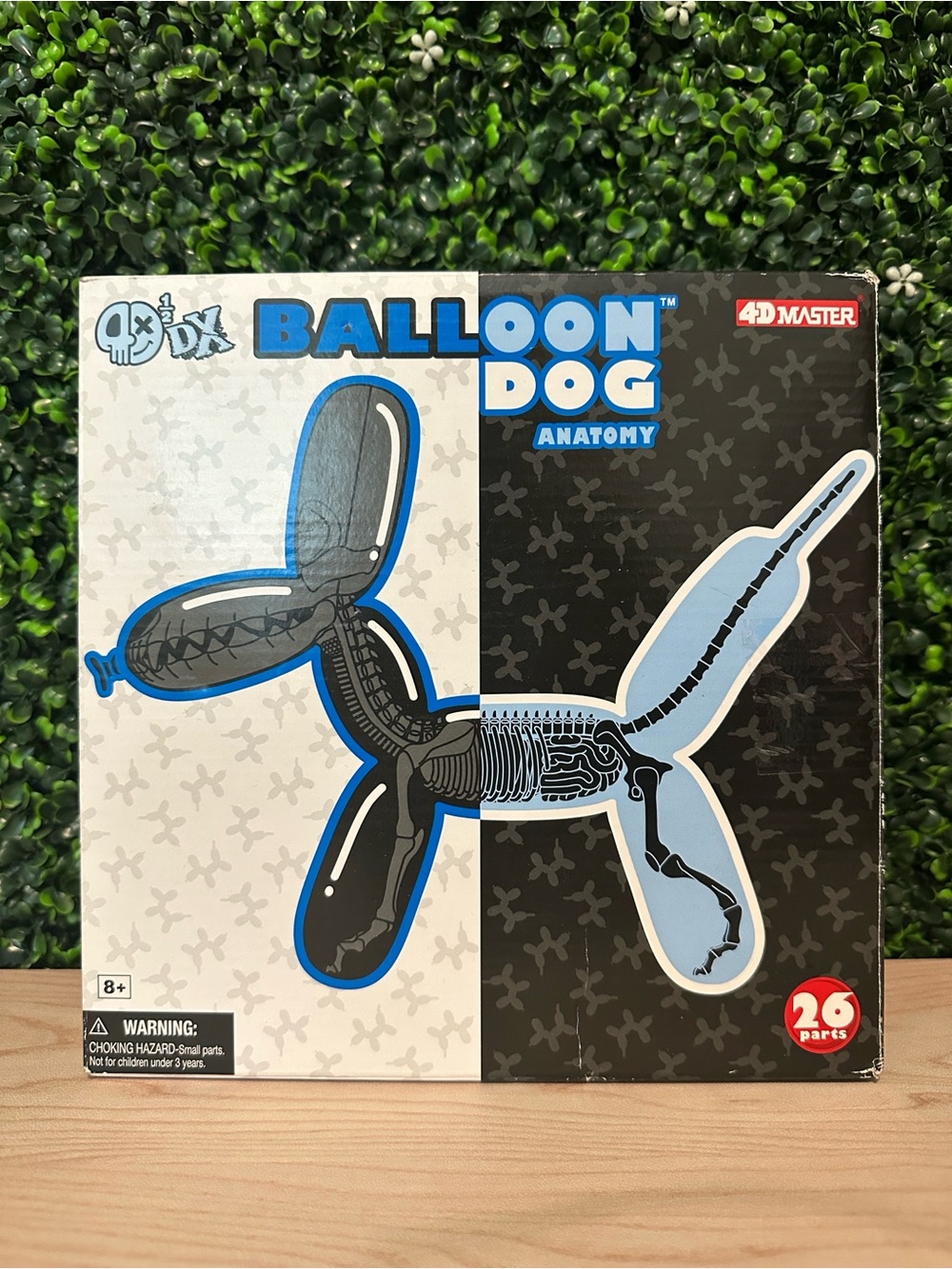 Balloon Dog Anatomy Model Kit #85 - Picture 6 of 9